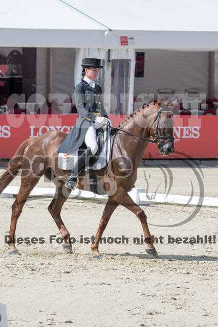 FEI European Championship Eventing 2017