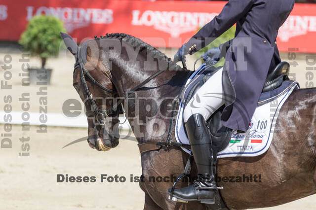 FEI European Championship