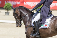 FEI European Championship