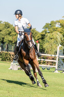 Kronenberg - De Peelbergen (August 2020)