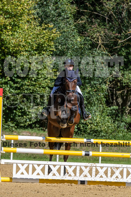RFV Dinslaken-Hiesfeld (Herbstturnier)