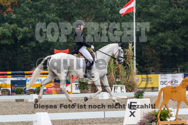 Deutsche Meisterschaft Vielseitigkeit (Luhmühlen)