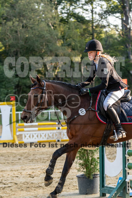 RFV Dinslaken-Hiesfeld (Herbstturnier)