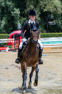 Goldene Schärpe 2021 - Ponys