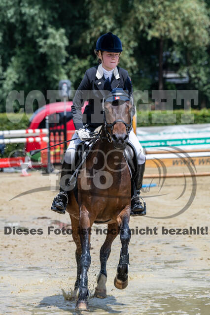 Goldene Schärpe 2021 - Ponys