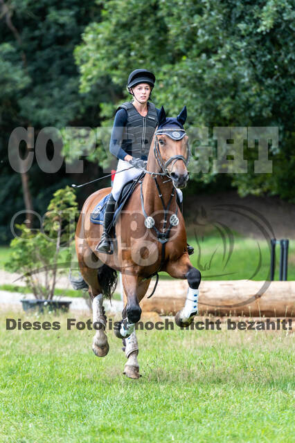 Late-Entry-Vielseitigkeit Langenfeld (06.+07.07.2020)