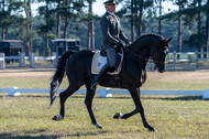 Kronenberg - De Peelbergen (August 2020)