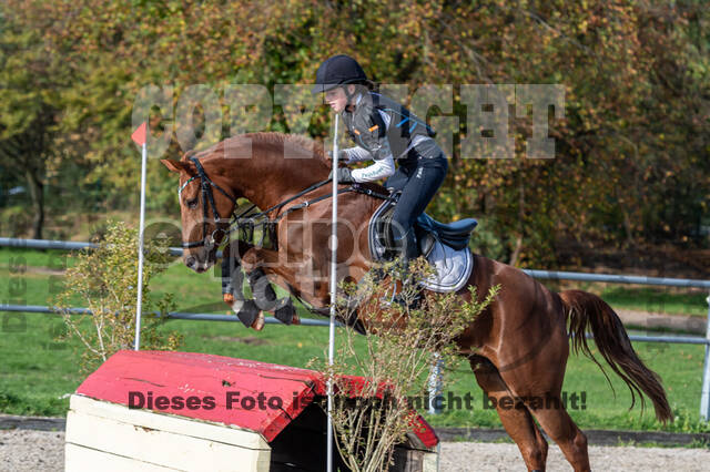 IGV Lehrgang der Sieger der Cups mit Frank Ostholt