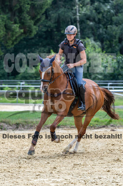 Hunter Geländetraining 10.07.2021 (Sonsbeck)