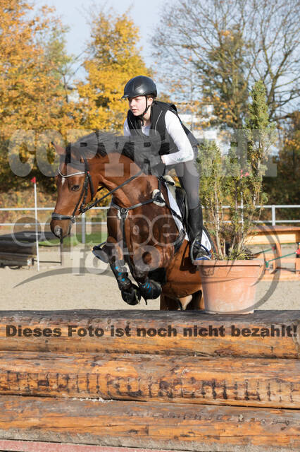 IGV Lehrgang der Sieger der Cups mit Frank Ostholt