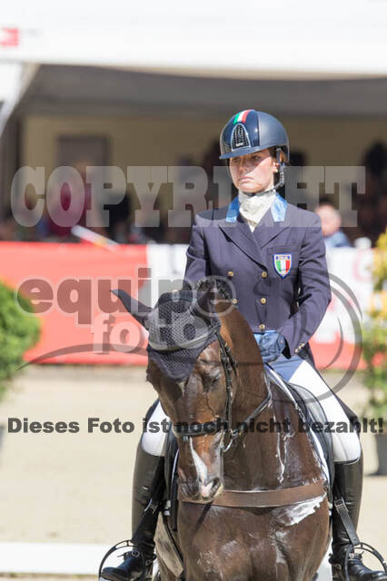 FEI European Championship