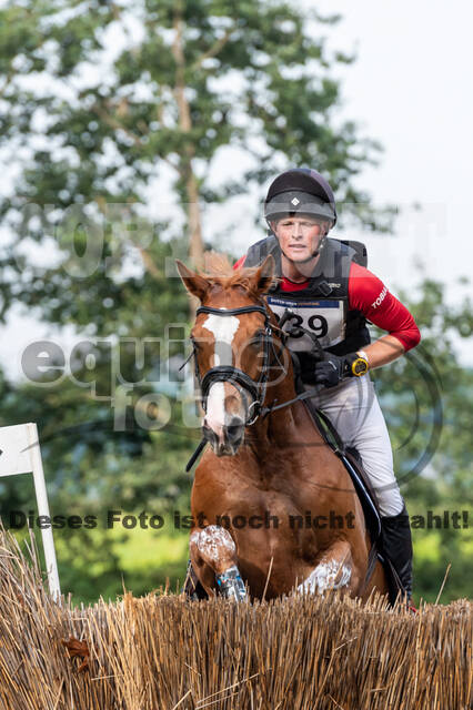 De Peelbergen (August 2020)