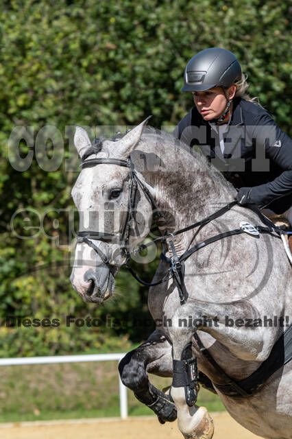 RFV Dinslaken-Hiesfeld (Herbstturnier)