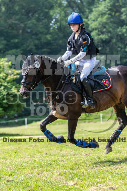 Goldene Schärpe 2021 - Ponys