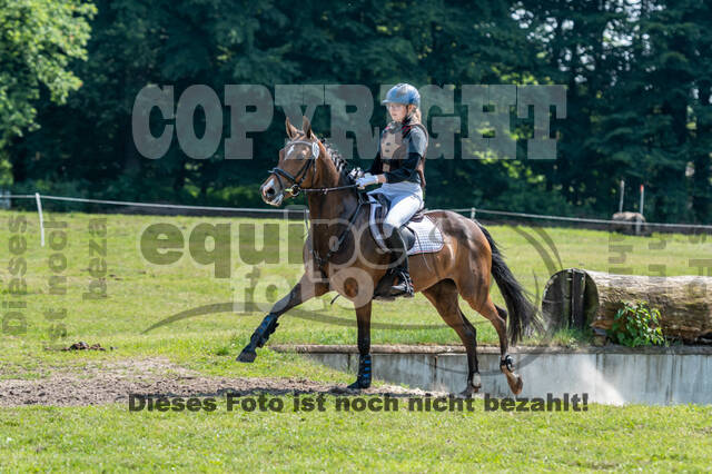 Goldene Schärpe 2021 - Ponys