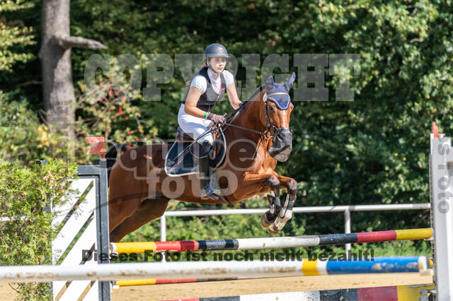 RFV Dinslaken-Hiesfeld (Herbstturnier)