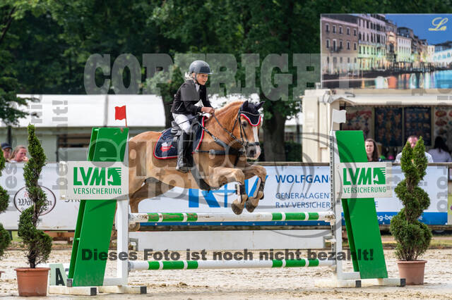 Goldene Schärpe 2021 - Ponys