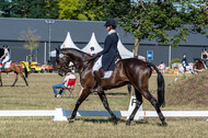 Kronenberg - De Peelbergen (August 2020)