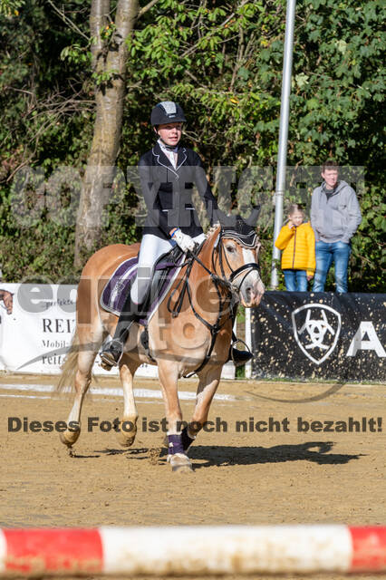 RFV Dinslaken-Hiesfeld (Herbstturnier)