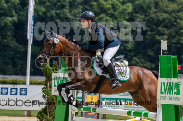 Goldene Schärpe 2021 - Ponys
