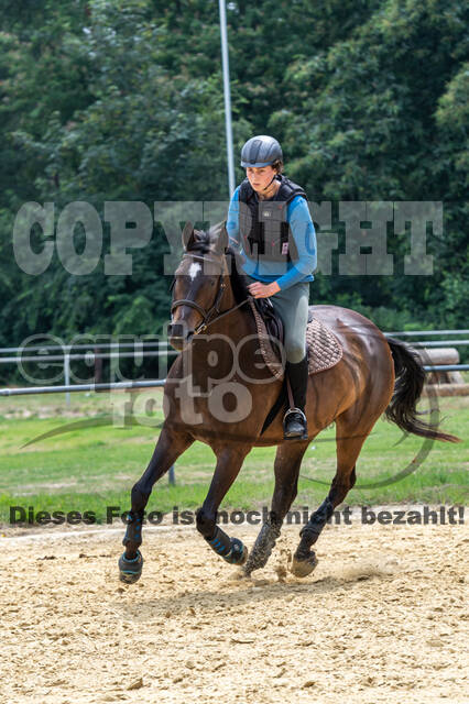 Hunter Geländetraining 10.07.2021 (Sonsbeck)