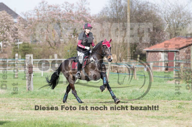 Frühjahrsvielseitigkeit RV Seydlitz Kamp