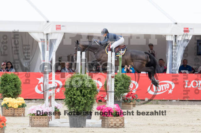 FEI European Championship