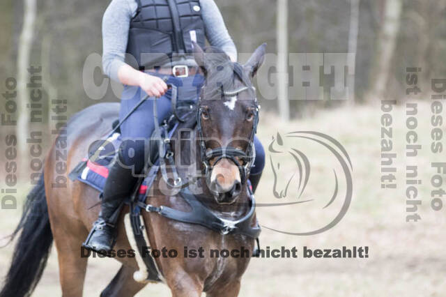 Geländetrainings RSV St. Hubertus Wesel Obrighoven