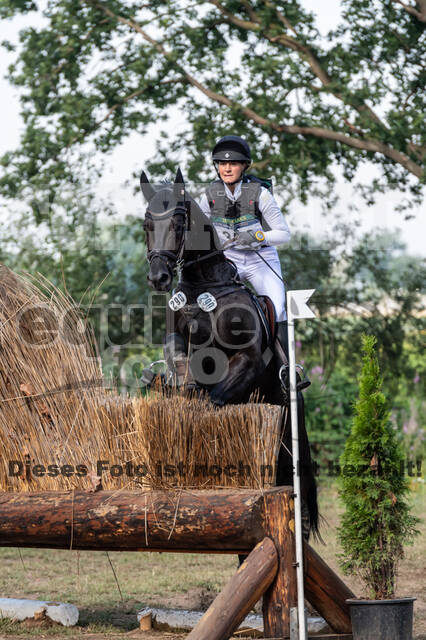 De Peelbergen (August 2020)