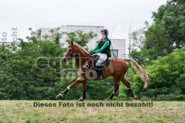 Late-Entry-Vielseitigkeit Langenfeld (11.+13./14.06.2020)