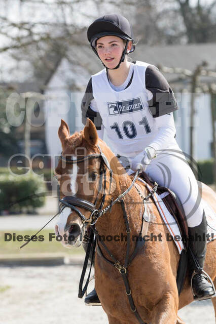 Eventing Langenfeld 2018