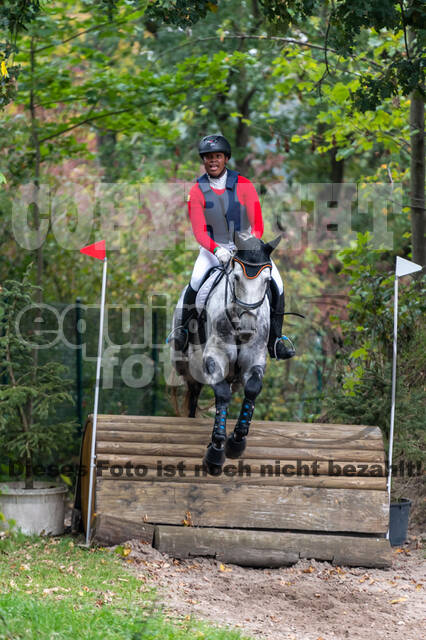 Goldene Schärpe 2020 - Pferde