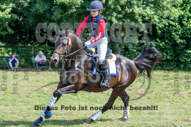 Goldene Schärpe 2021 - Ponys