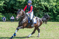 Goldene Schärpe 2021 - Ponys