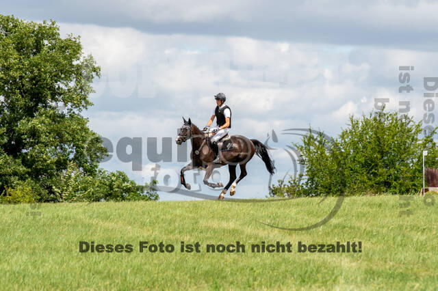 Bonn-Rodderberg Late-Entry-Vielseitigkeit (30.06.2020)