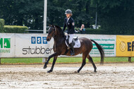 Goldene Schärpe 2021 - Ponys