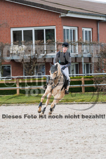 Eventing im Pferdesportzentrum Rheinland (Late Entry 14.03.2022)