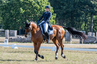 Kronenberg - De Peelbergen (August 2020)