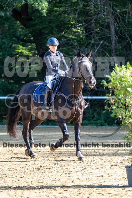 RFV Dinslaken-Hiesfeld (Herbstturnier)