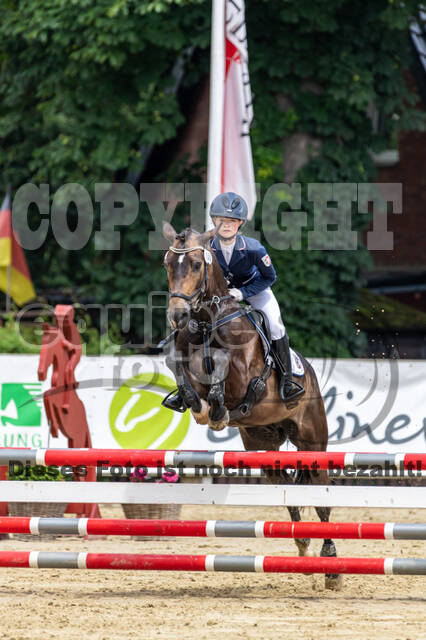 Goldene Schärpe 2021 - Ponys