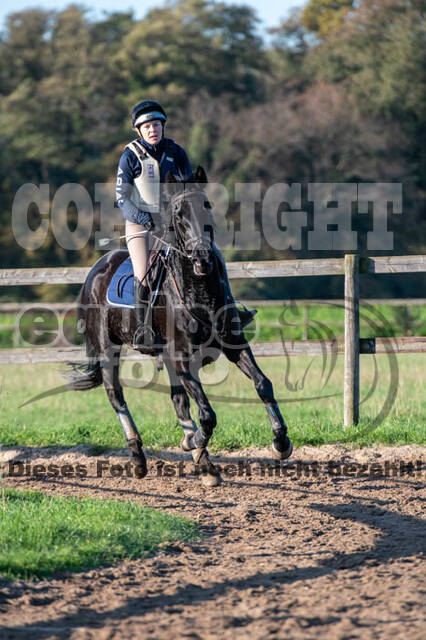 Vielseitigkeitslehrgang mit Jürg Kurbel (9.+10.11.2019)