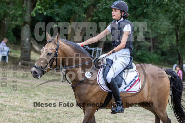 Late-Entry Vielseitigkeit Hamminkeln/Wesel (01.+02.08.2020)