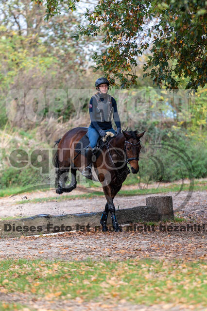 IGV Lehrgang der Sieger der Cups mit Frank Ostholt