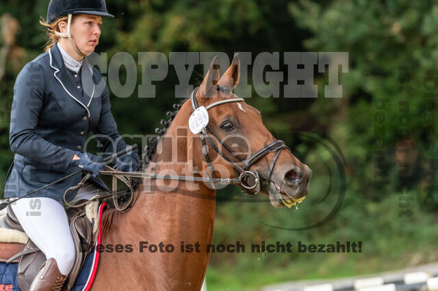 Vielseitigkeit RSV Wesel Obrighoven (26.+27.09.2020)