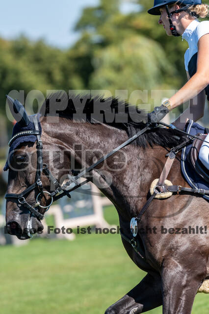 Kronenberg - De Peelbergen (August 2020)