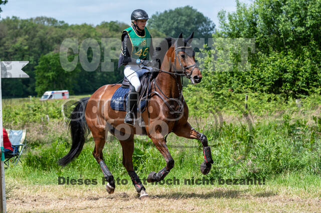 Westerstede Horse Trials (10.-13.06.2021)