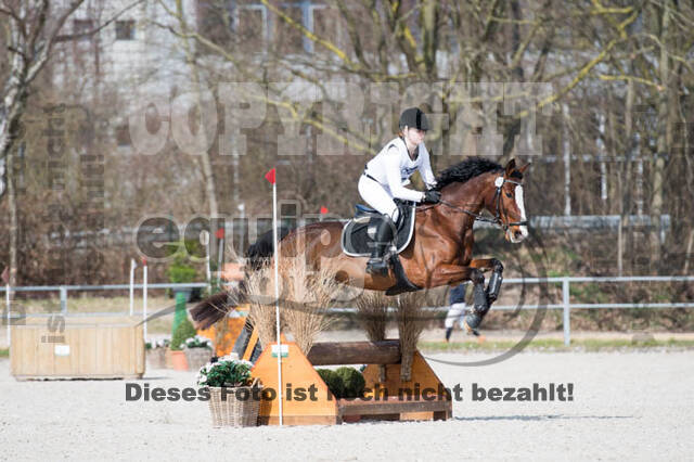 Eventing Langenfeld 2018