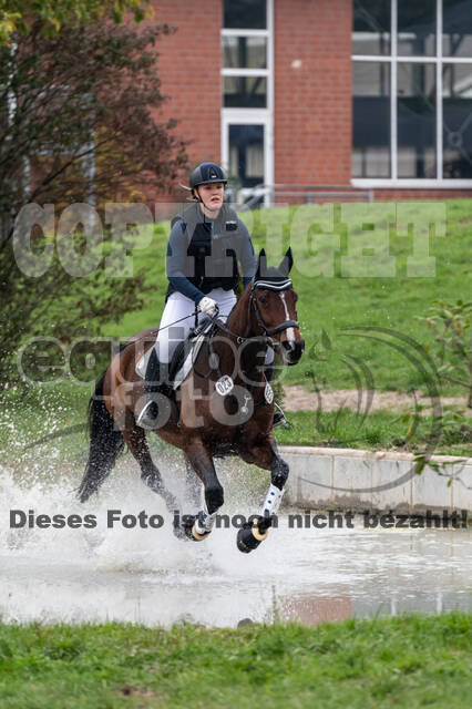 Goldene Schärpe 2020 - Pferde