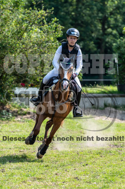 Goldene Schärpe 2021 - Ponys