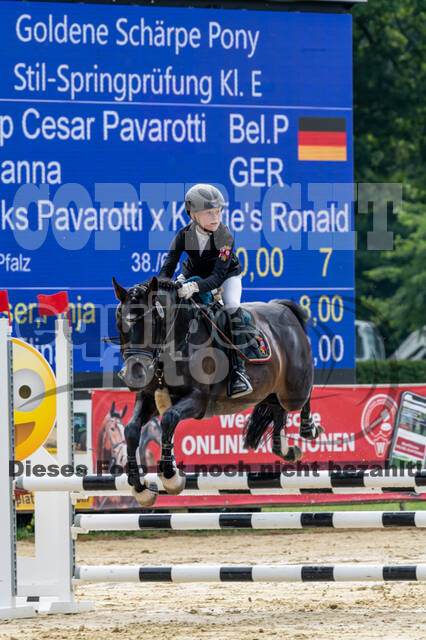 Goldene Schärpe 2021 - Ponys